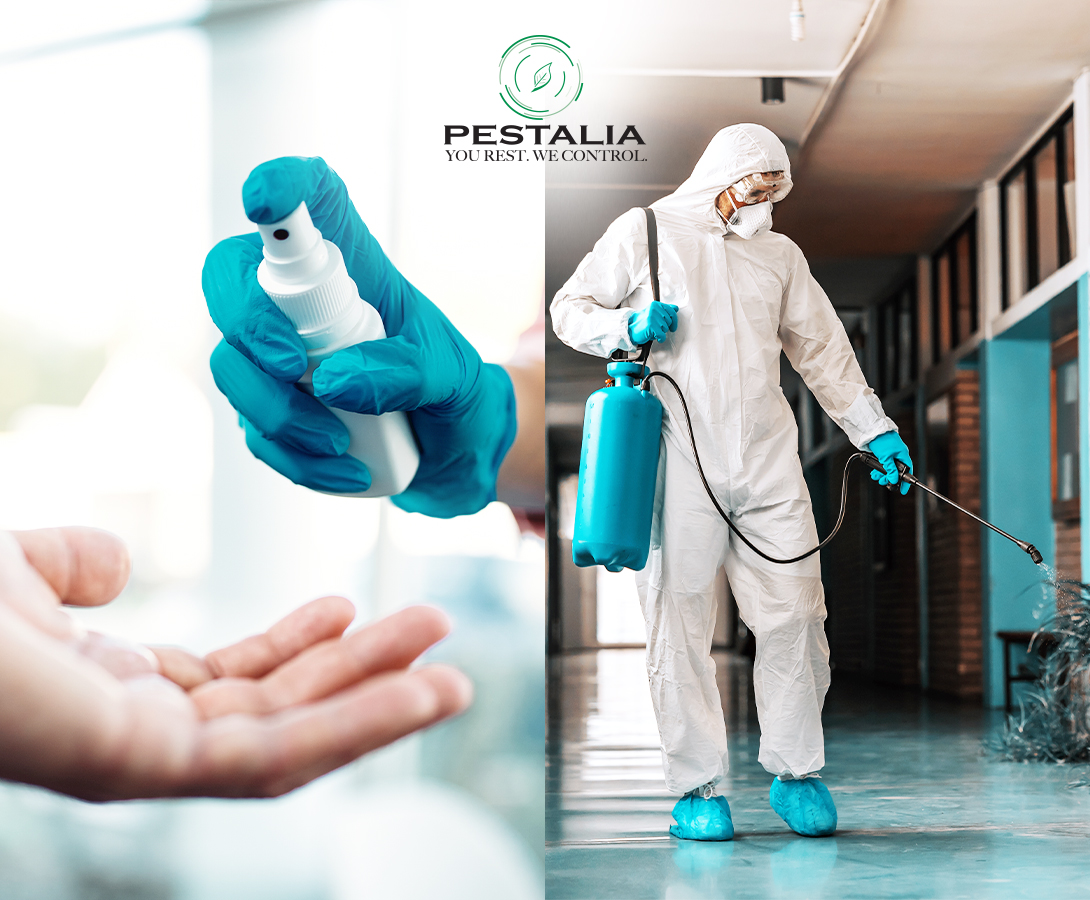 Disinfezione vs Disinfestazione: differenze e cosa sapere