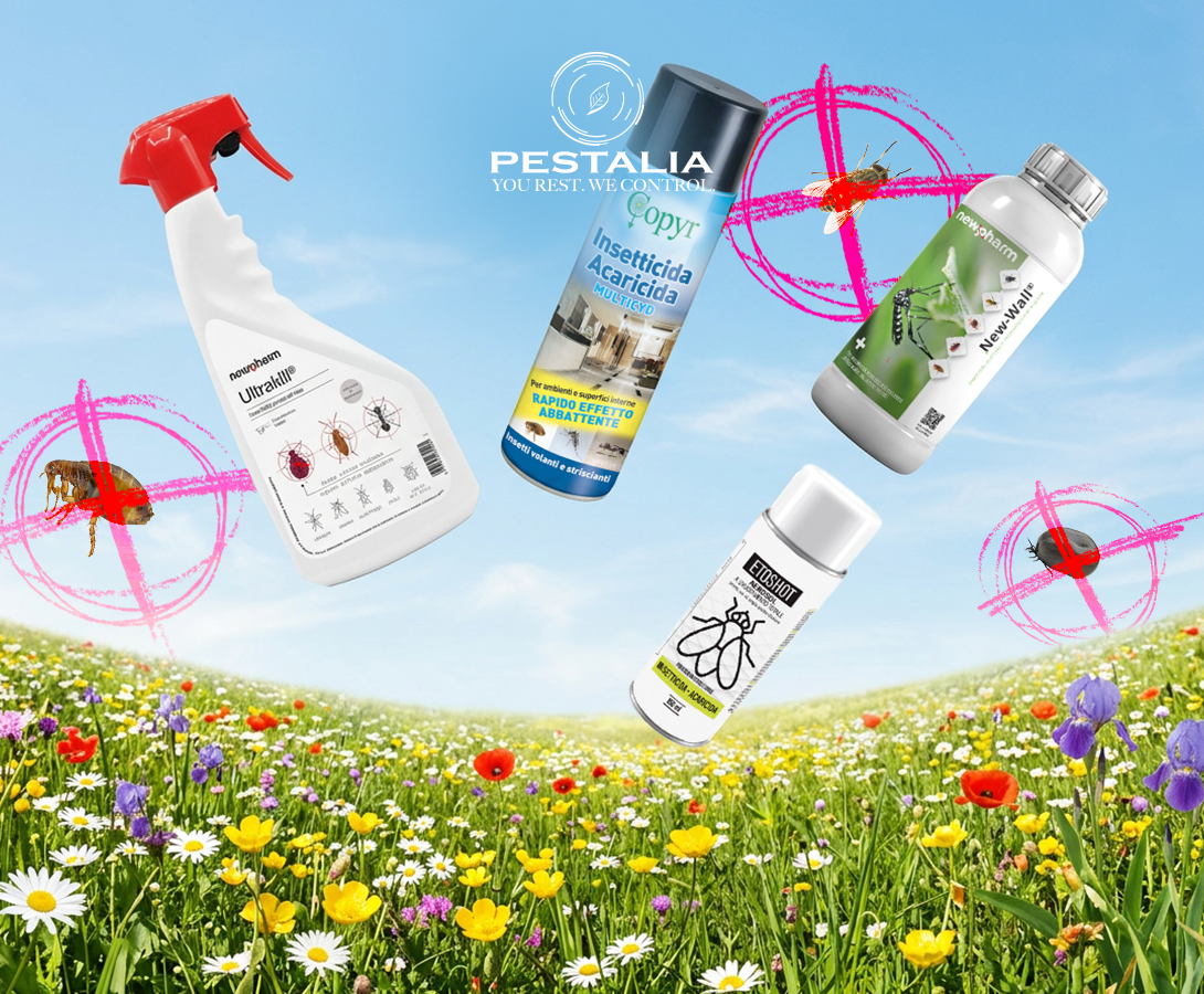Zecche, pulci e tafani: come prevenire ed eliminarli con la bella stagione